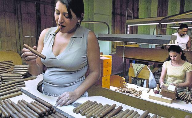 .  Labeling and packaging process in a factory in Havana, and crops covered by the wrapper leaf, the one that wraps the cigar.  Above, three tabletop pillars -coffee, glass and cigar-, an increasingly rare 'combo' to see.