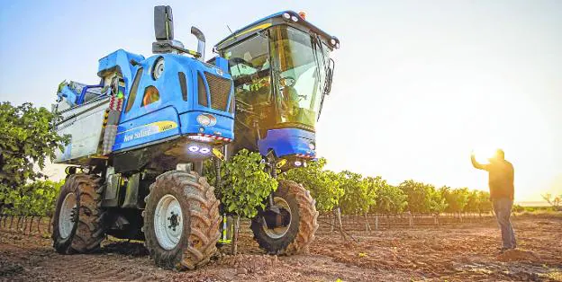 Grape harvesting machine harvesting inside a trellis vineyard during the current campaign.