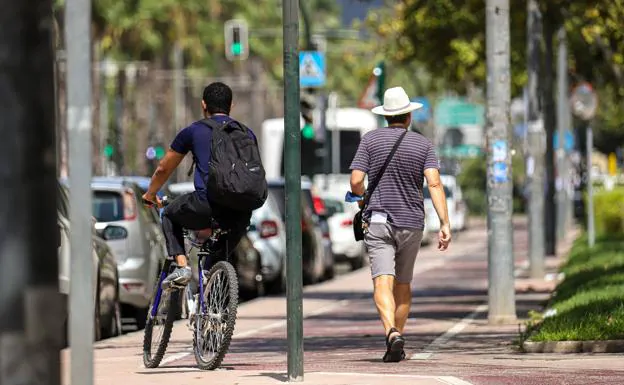 A cyclist circulates along one of the bike lanes that run through the municipality of Murcia. 