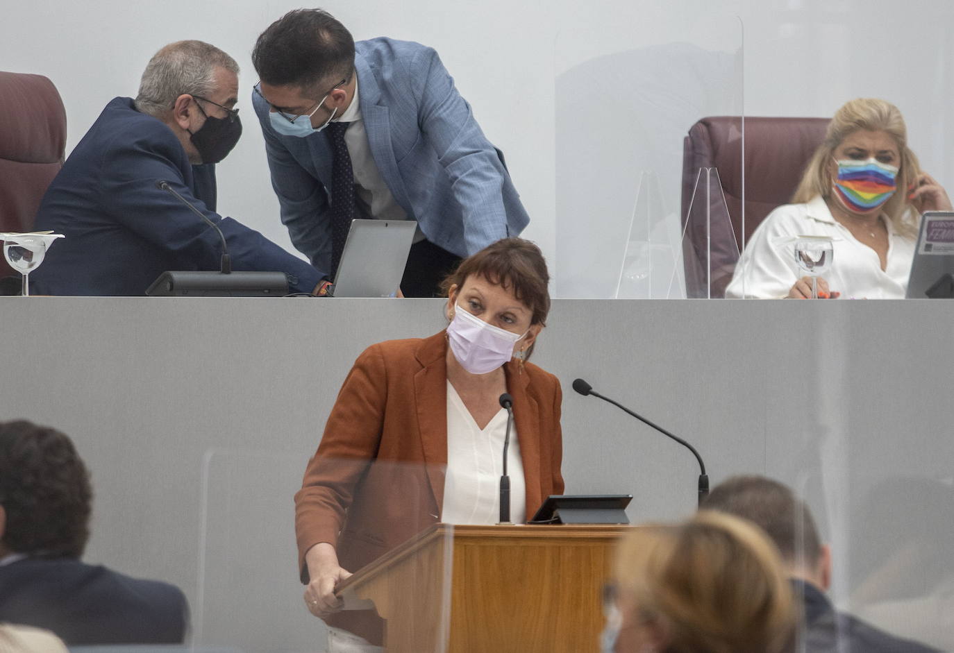 María Marín intervenes in the Assembly, in a file photo.