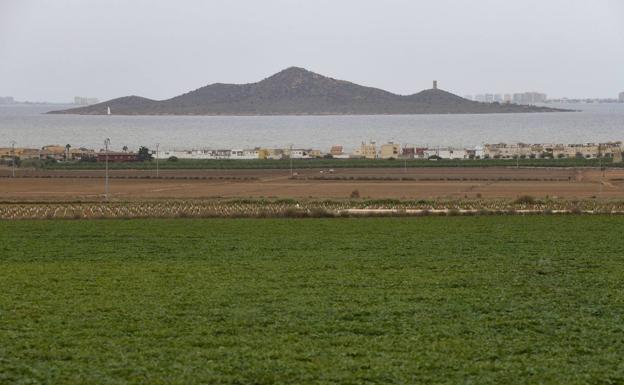 Crops next to the Mar Menor in a file image. 
