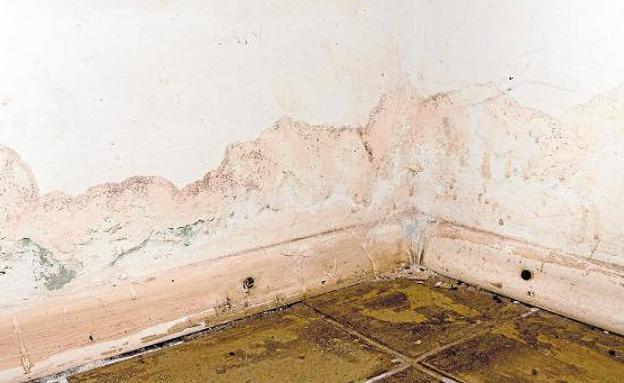 The remedies that will help you avoid damp on the walls of your home. 