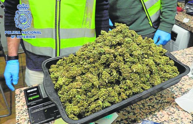 Tray of marijuana buds that the agents seized. 