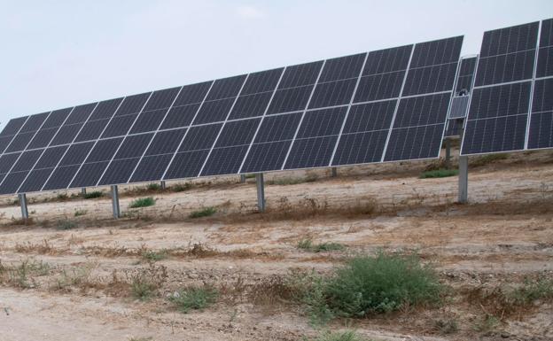 Stock image of a solar farm. 